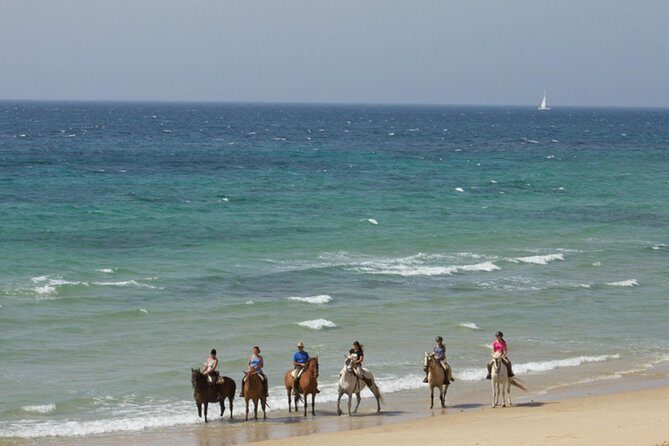 Horseback Riding by the beach or mountain in Tarifa, Spain - 1 to 2 hrs - The Experience: What to Expect During Your Ride