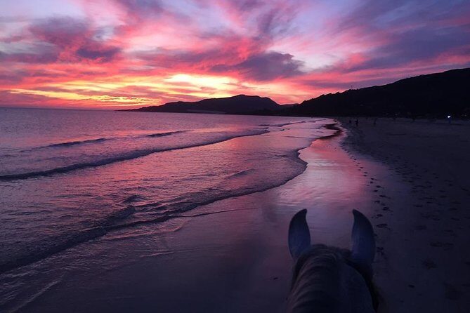 Horseback Riding by the beach or mountain in Tarifa, Spain - 1 to 2 hrs - Who Should Consider This Tour?