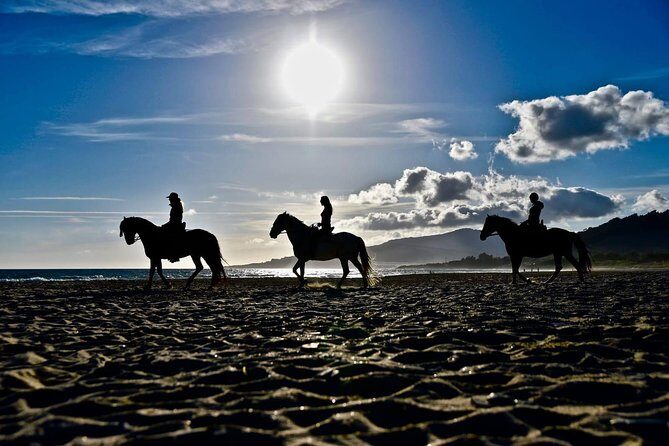 Horseback Riding by the beach or mountain in Tarifa, Spain - 1 to 2 hrs - Fast Facts at a Glance