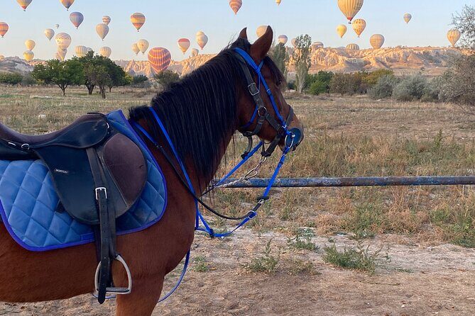 Horseback Riding Experience Cappadocia - Who This Tour Is Perfect For