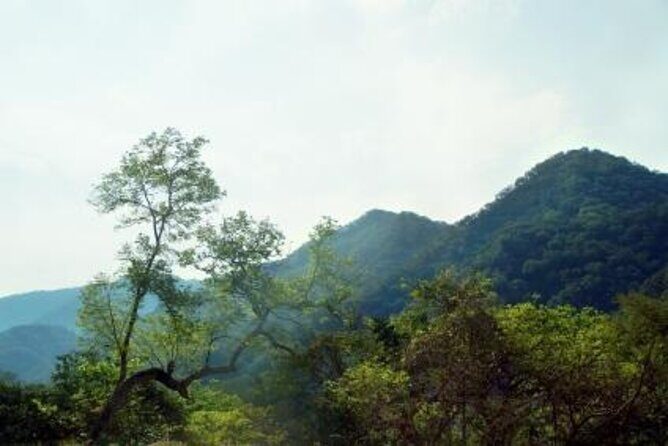Horseback Riding Experience in Sierra Madre Mountains - Key Points