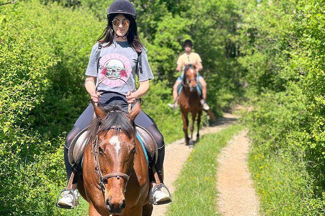 Horseback Riding Experience with transport from Dubrovnik - Value and Practicalities