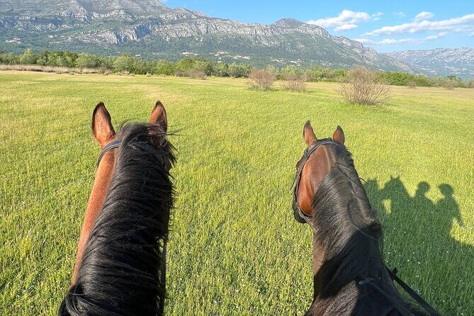 Horseback Riding Experience with transport from Dubrovnik - Who Would Love This Experience?