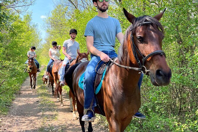 Horseback Riding Experience with transport from Dubrovnik - The Sum Up