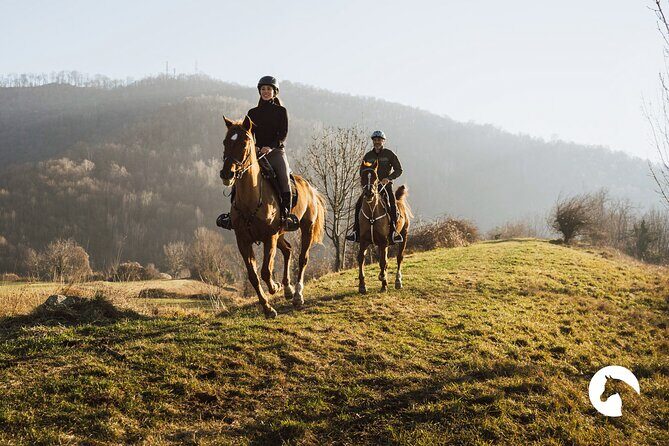 Horseback riding for experts between the lake and the mountains - Key Points