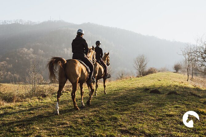 Horseback riding for experts between the lake and the mountains - An In-Depth Look at the Horseback Riding Experience