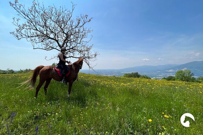 Horseback riding for experts between the lake and the mountains - The Sum Up