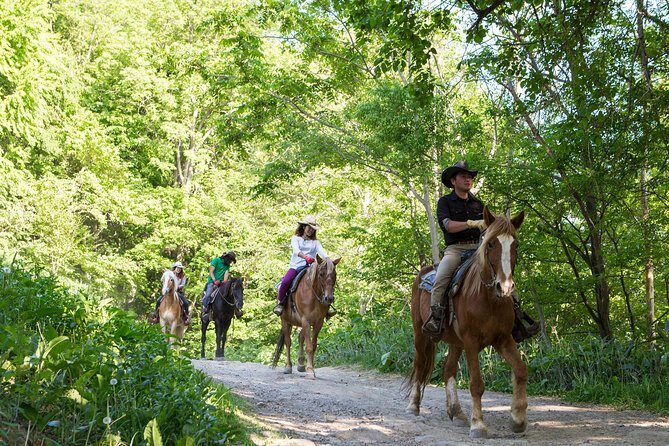 Horseback-Riding in a Country Side in Sapporo - Private Transfer is Included - What to Expect from the Horseback Riding Tour in Sapporo