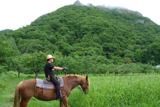 Horseback-Riding in a Country Side in Sapporo - Private Transfer is Included - Authentic Insights from Reviewers