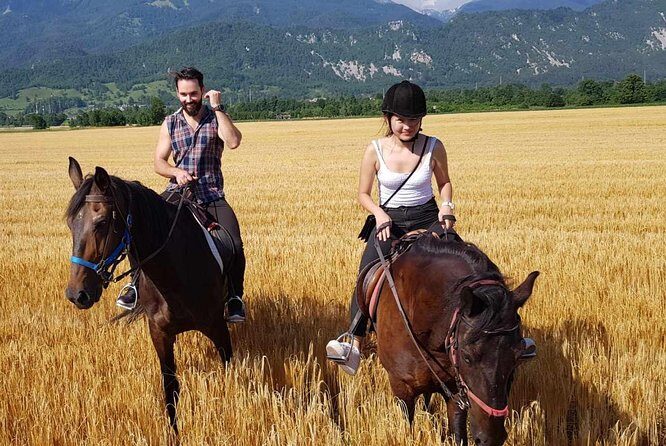 Horseback Riding In Bled - Key Points