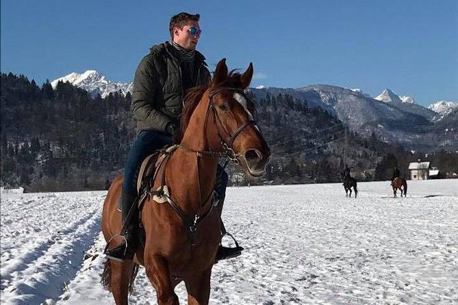 Horseback Riding In Bled - Who Will Enjoy This Tour?