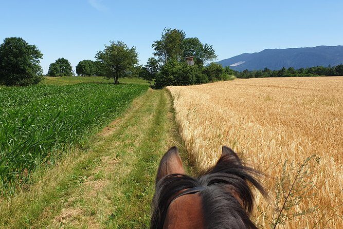 Horseback Riding In Bled - Frequently Asked Questions