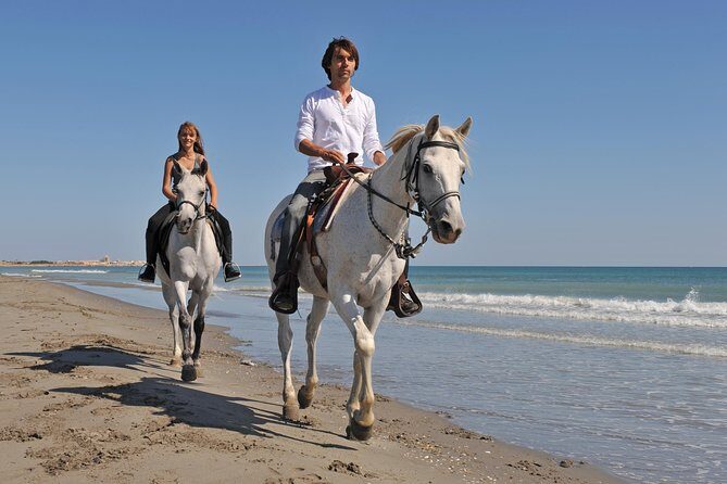 Horseback Riding in Bodrum - The Experience in Detail