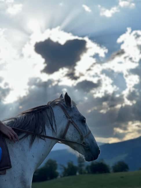 Horseback riding in Dilijan - What to Expect from the Horseback Riding Tour
