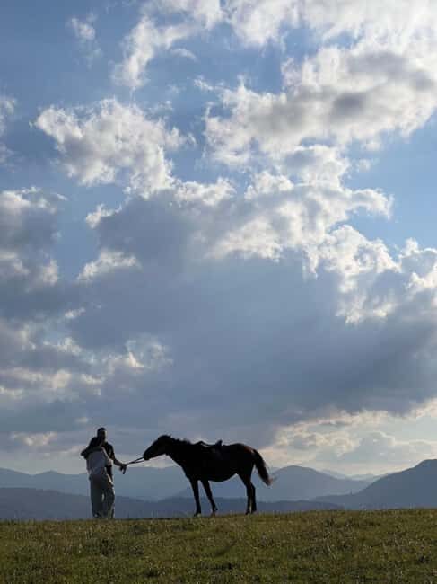 Horseback riding in Dilijan - The Value of this Experience