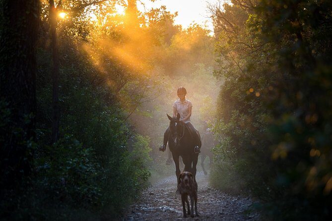 Horseback Riding in Konavle Region with Transport from Dubrovnik - Key Points