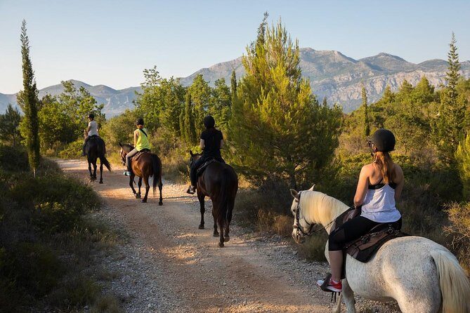 Horseback Riding in Konavle Region with Transport from Dubrovnik - An In-Depth Look at the Horseback Riding Tour in Konavle