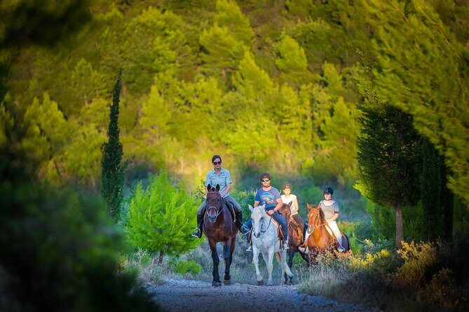 Horseback Riding in Konavle Region with Transport from Dubrovnik - Final Thoughts: Who Should Consider This Experience?