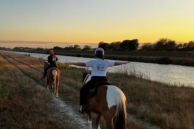 Horseback Riding in Miami - The Basics: What to Expect