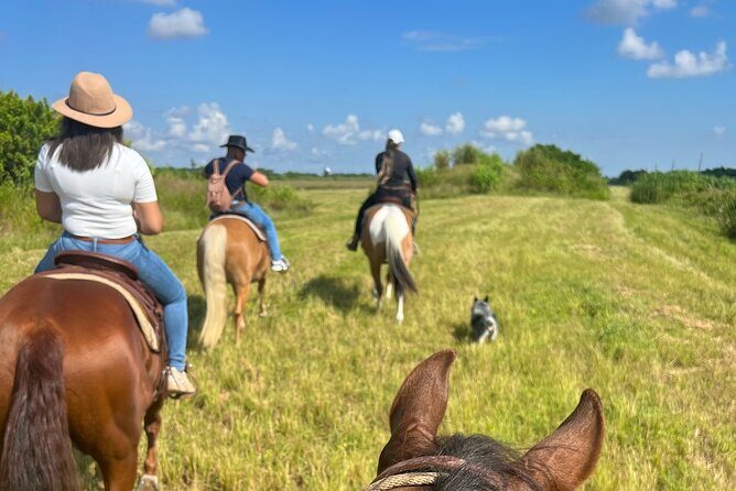 Horseback Riding in Miami - The Cost and Value