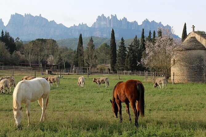 Horseback Riding in Montserrat Mountain Natural Park, Barcelona - 1 to 2 hrs - Authentic Experiences from Previous Riders
