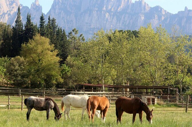 Horseback Riding in Montserrat Mountain Natural Park, Barcelona - 1 to 2 hrs - The Sum Up