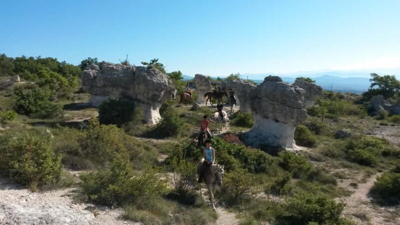 Horseback riding in Provence Luberon - An In-Depth Look at the Horseback Riding Tour in Provence Luberon