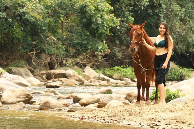 Horseback Riding in Sayulita Through Jungle Trails to the Beach - Introduction: Why This Horseback Adventure Is a Real Treat