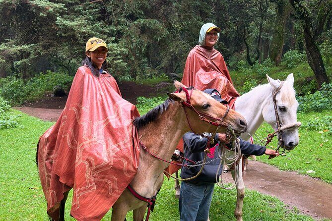 Horseback Riding in the Forest and Breakfast in Cabin - An In-Depth Look at the Horseback Riding & Forest Breakfast Tour