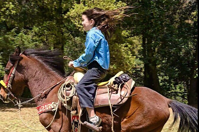 Horseback Riding in the Forest and Breakfast in Cabin - Final Thoughts: Is This Tour Worth It?