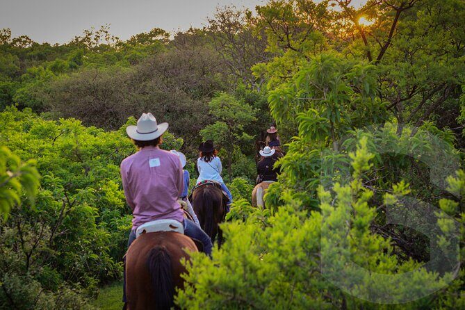 Horseback Riding in the Guanajuato Hills - An In-Depth Look at the Guanajuato Hills Horseback Ride