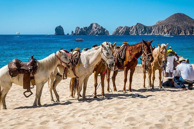 Horseback Riding on The Beach and Through The Desert! - Who Will Love This Tour?