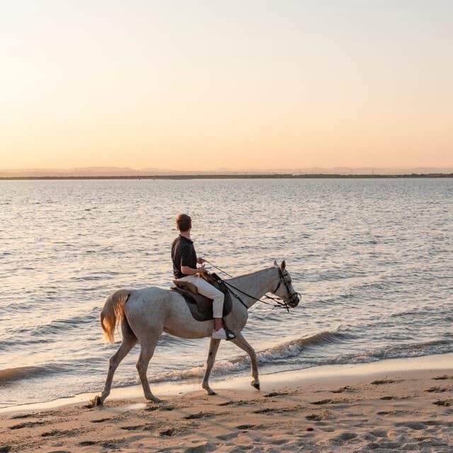 Horseback Riding On The Beach At Sunset - Practical Details & Tips