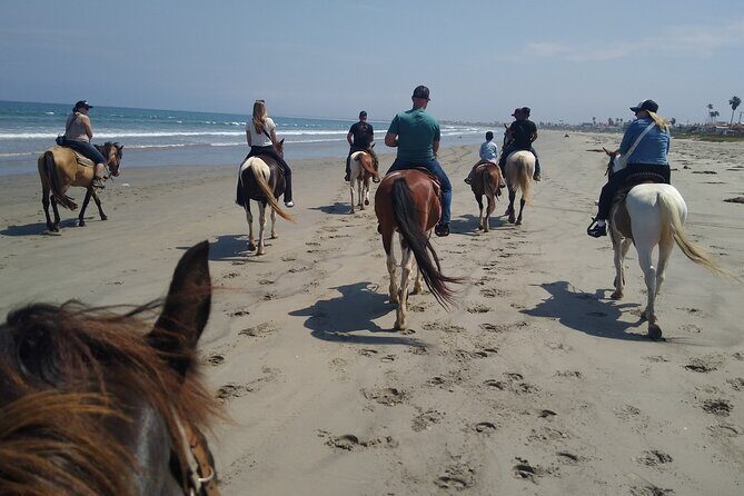 Horseback Riding on the Beach from Ensenada - Frequently Asked Questions