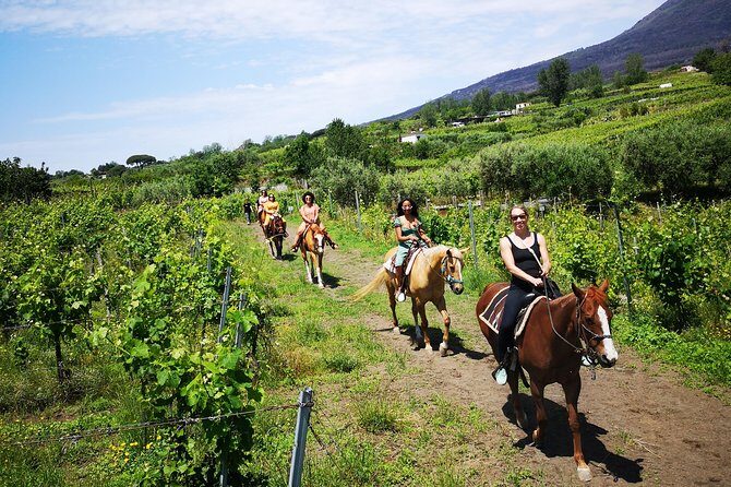 Horseback Riding on Vesuvius - What Does the Tour Involve?