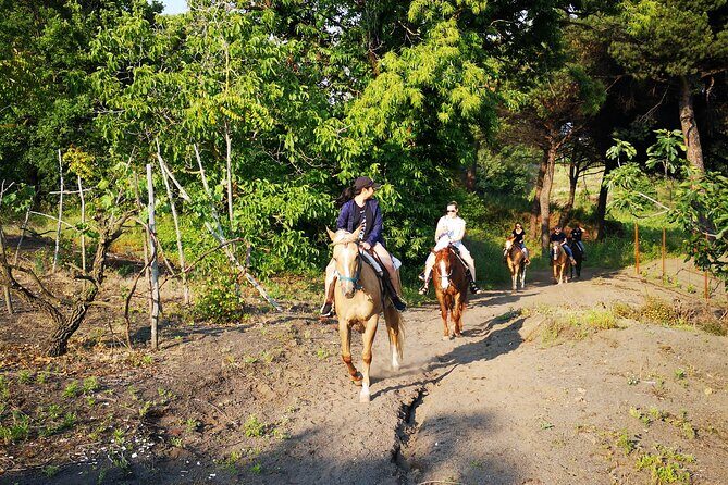 Horseback Riding on Vesuvius - The Experience’s Value