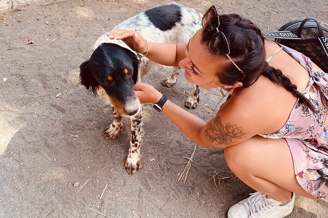 Horseback Riding on Vesuvius - Who Should Book This Tour?