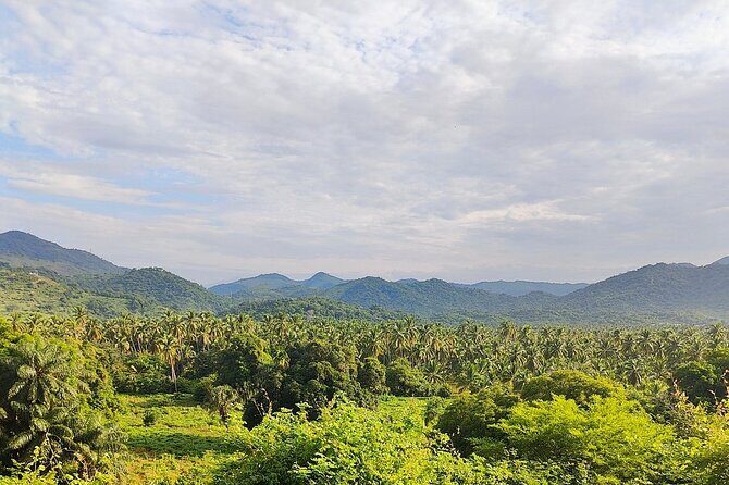 Horseback Riding Playa Larga - Who Should Consider This Tour?