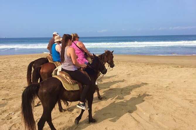 Horseback Riding Playa Larga - An Overview of the Experience