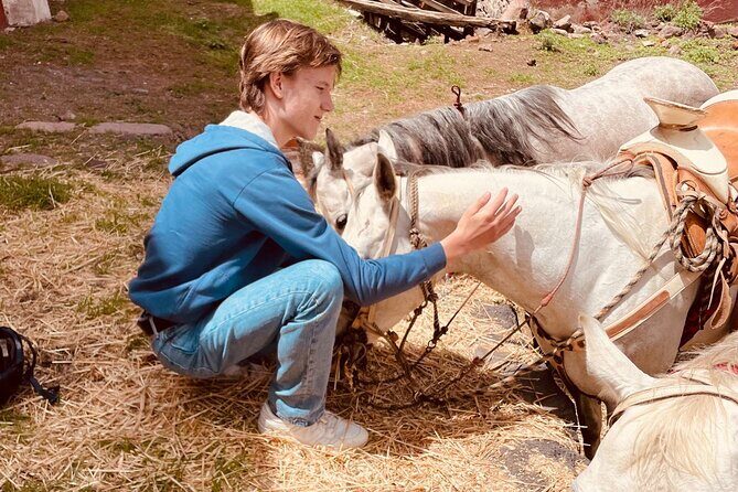 Horseback Riding through Mexican Haciendas - The Sum Up
