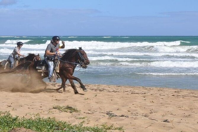 Horseback Riding to Maimon River from Punta Cana - In-Depth Look at the Tour Experience