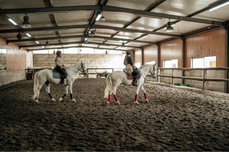 Horseback Riding Tour - Key Points