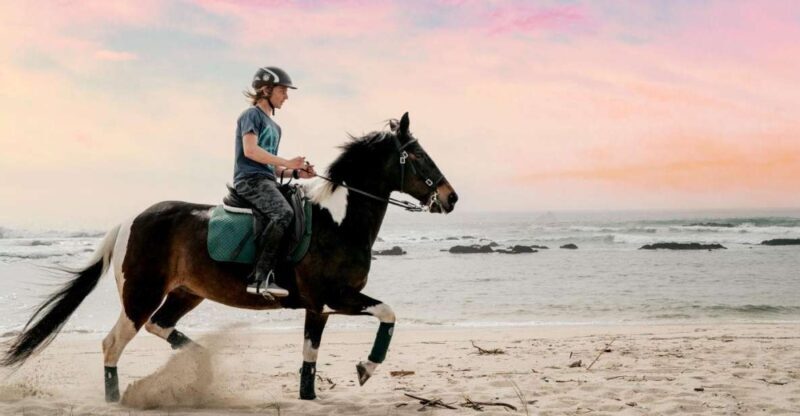 Horseback Riding Tour - An In-Depth Look at the Horseback Riding Tour