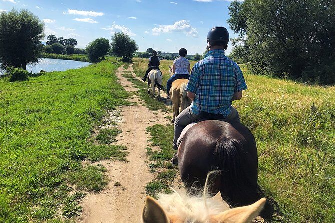 Horseback Riding Tour In Brasov - Ride Through Fields, Forests & Hills - An In-Depth Look at the Horseback Riding Experience