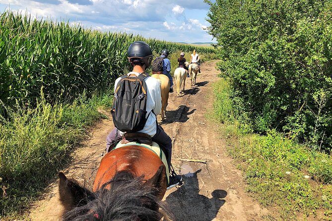 Horseback Riding Tour In Brasov - Ride Through Fields, Forests & Hills - The Sum Up