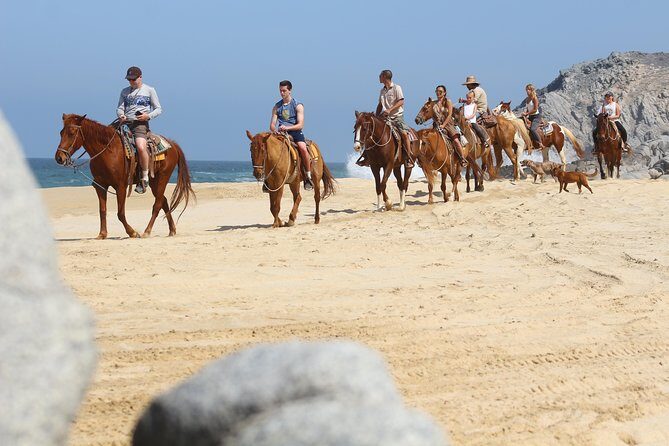 Horseback Riding Tour in Cabo San Lucas - An Overview of the Horseback Riding Experience