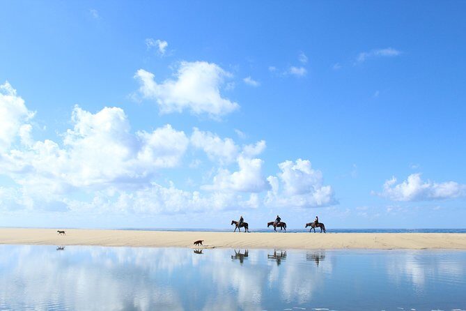 Horseback Riding Tour in Cabo San Lucas - The Itinerary in Detail