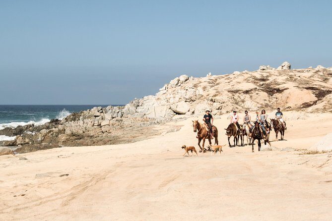 Horseback Riding Tour in Cabo San Lucas - Final Thoughts: Is It Worth It?
