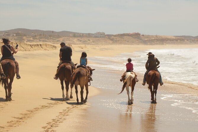 Horseback Riding Tour in Cabo San Lucas - FAQs