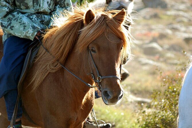 Horseback Riding Tour in Iceland - The Setting: Scenic Icelandic Nature on Horseback